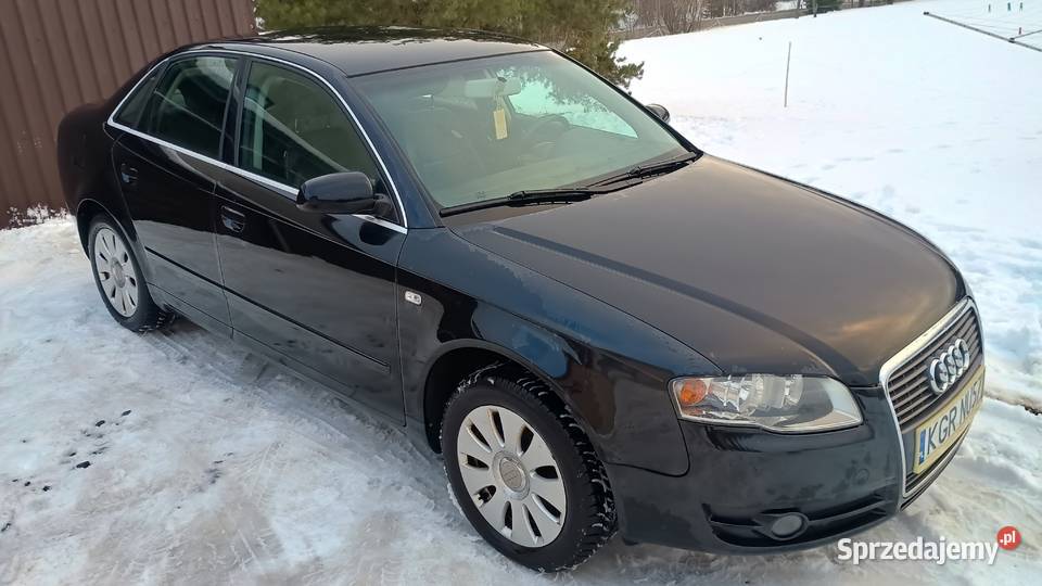Audi A4 B7 19 TDI 116 1896cm3 małopolskie Brunary