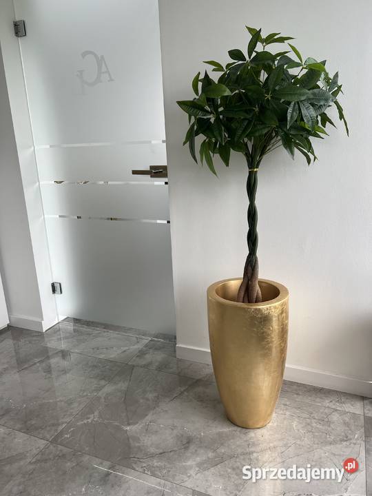 Sztuczne drzewko pachira w doniczce 120 Golkowice sprzedam
