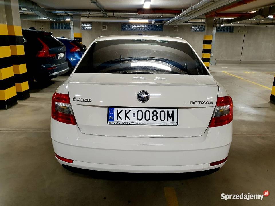 Salon Polska 1500cm3 Warszawa
