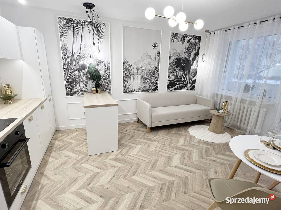 SASKA KĘPA LUX 3 POKOJE BEZPOŚREDNIO Warszawa