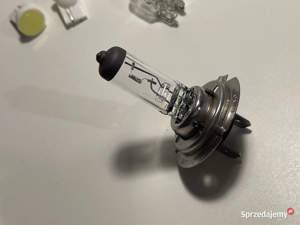 Żarówki do samochodu zwykle LED Opole