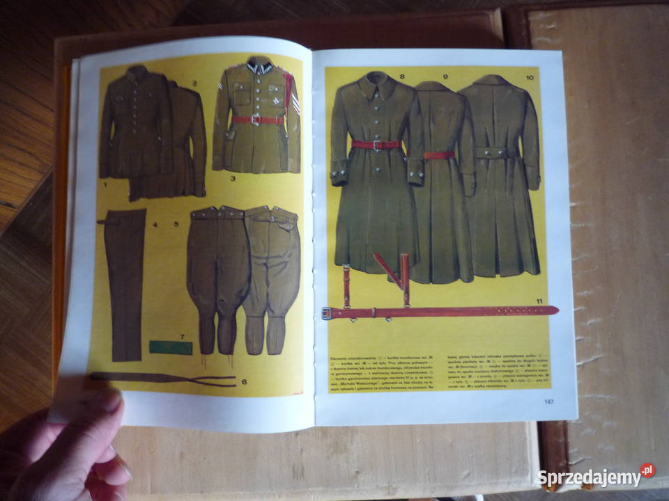 wojsko polskie barwa i broń 1939 45 podkarpackie Lutowiska