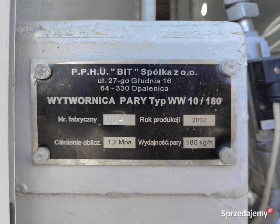 Wytwornica pary BiT WW10180 Opalenica sprzedam