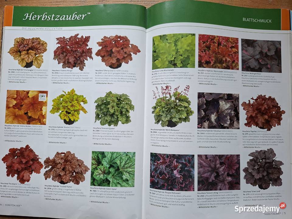 KientzlerGarten Czasopisma