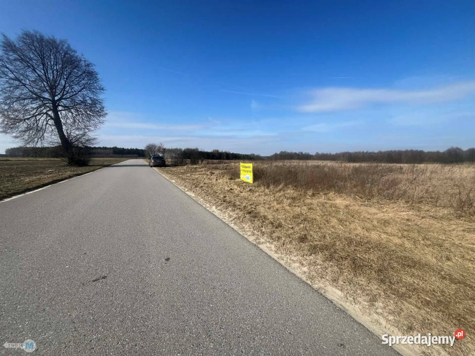 Działkę sprzedam Śladków Duży 43100m2 43100m2 świętokrzyskie