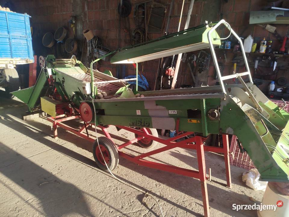 Sortownik do ziemniaków remprodex lubelskie Janów Lubelski