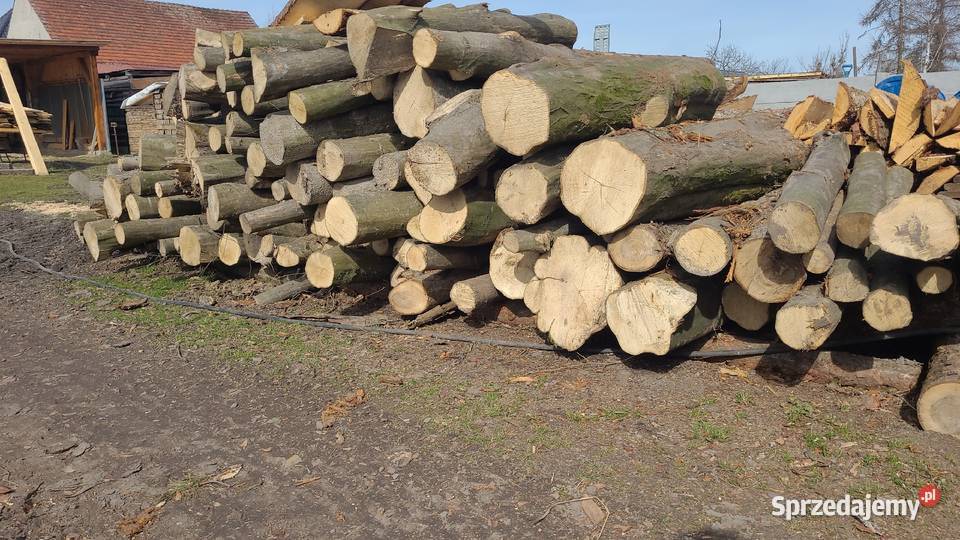 Drewno Kominkowe Opałowe Transport opolskie Ligota Prószkowska sprzedam