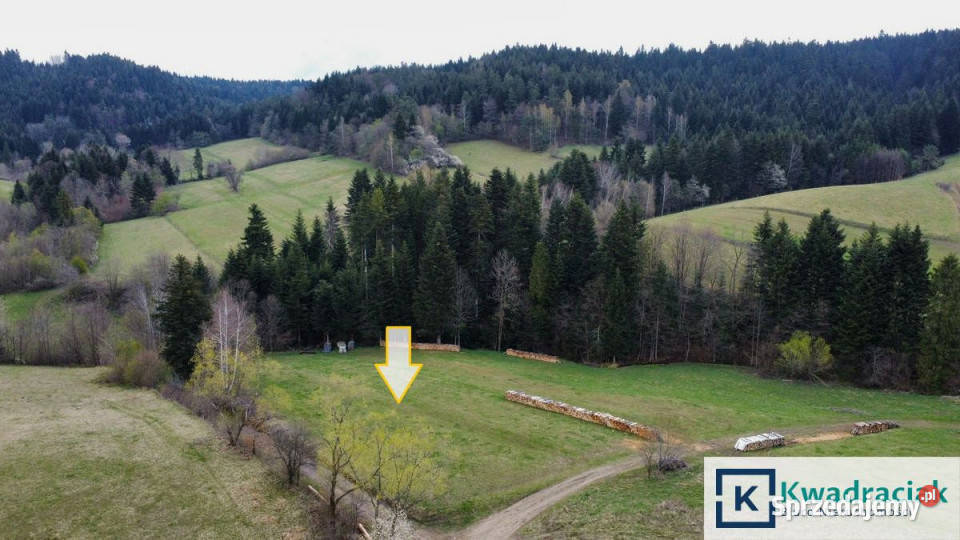 Grunt Zawóz 3100m2 podkarpackie