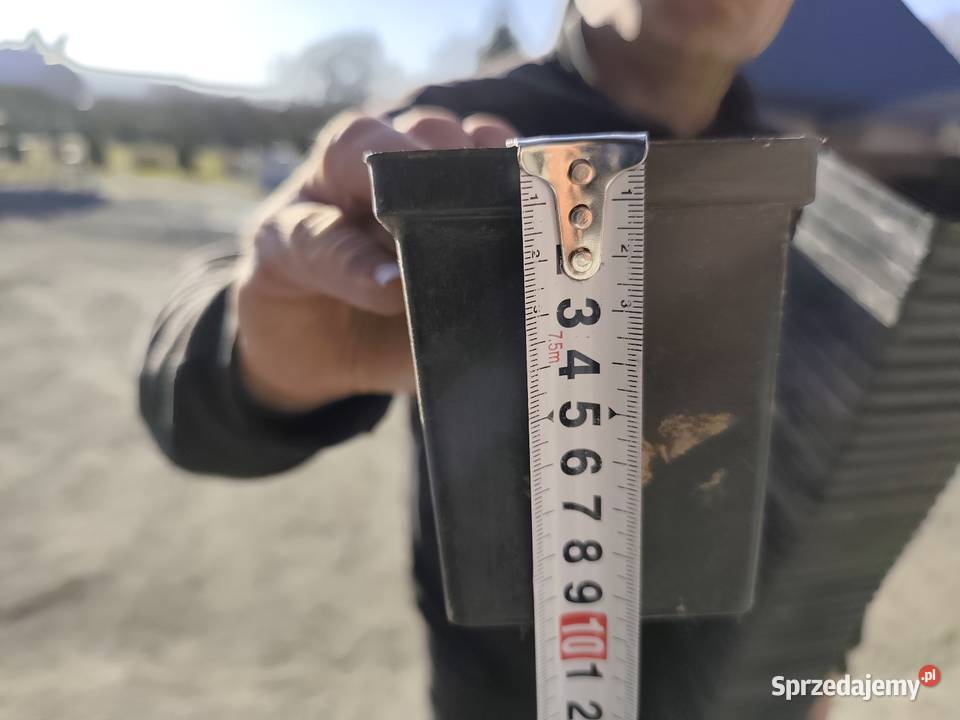 Doniczki do rozsad Dobrocice