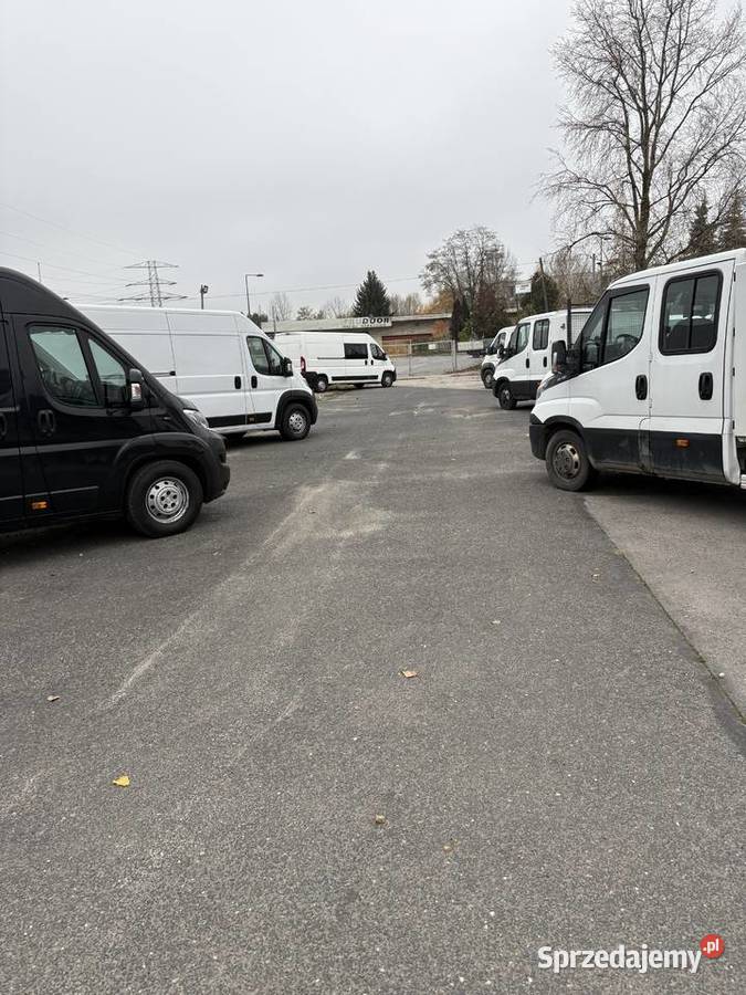 Do wynajęcia dziełka Augustowka 22 rekreacyjna Warszawa