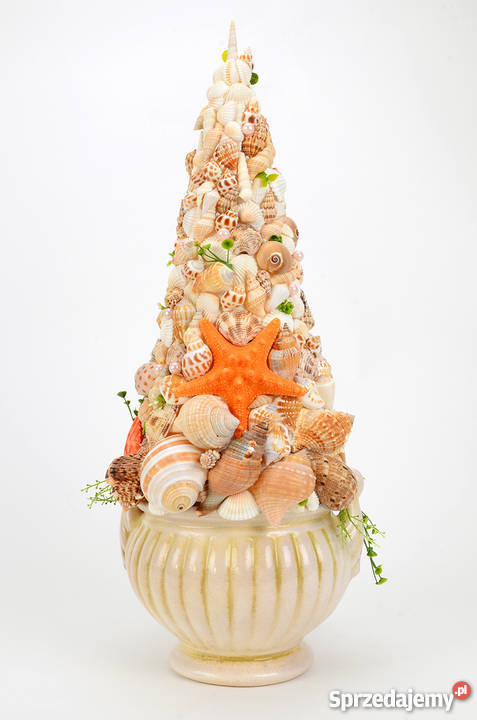 Stroik z muszli morskich Pruszcz Gdański