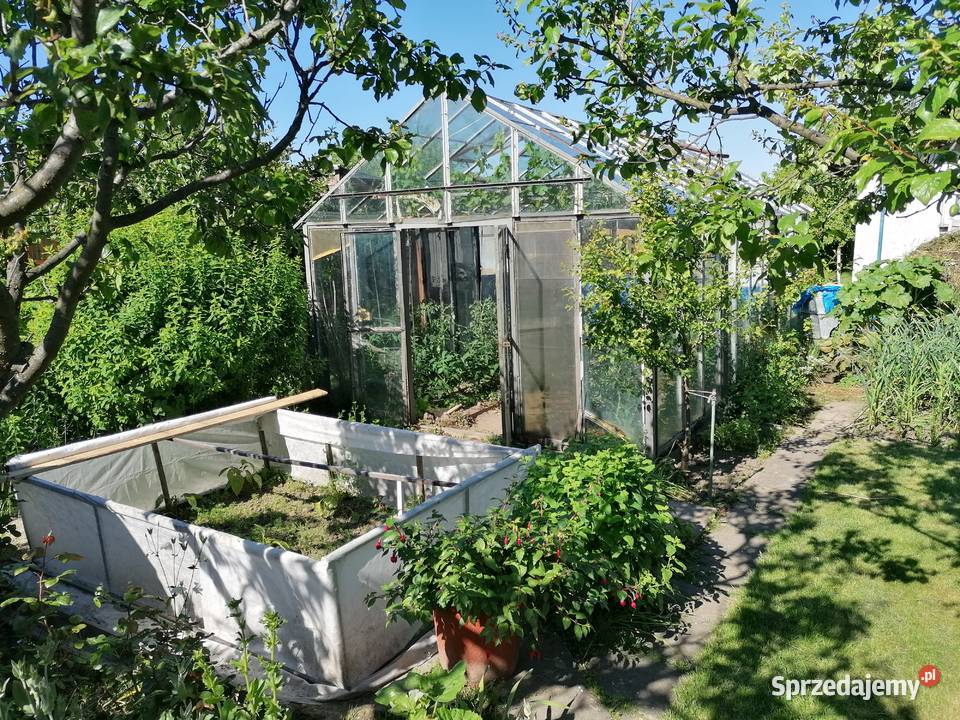 Sprzedam Działkę ROD imADomagalskiego Gdynia pomorskie