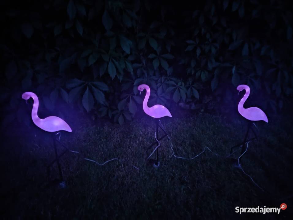 NOWY Zestaw 3xFlamingi solarny LED do ogrodu Blachownia
