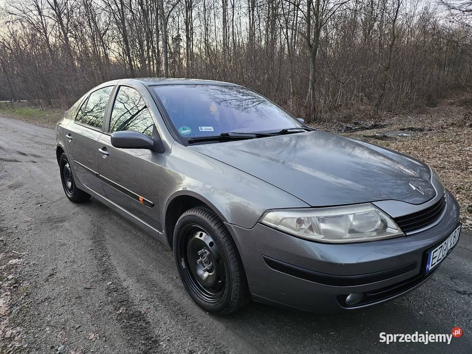 Renault laguna wielkopolskie Koźminek