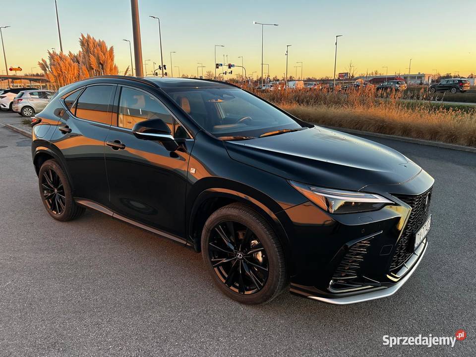 Raty Prywatnie Lexus NX II 2021 teraz 25 Luxury Wrocław
