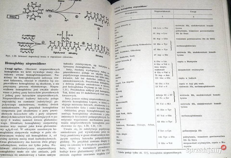 Nauka o chorobach wewnętrznych Tom 7 Witold Rok wydania 1990 Chełm