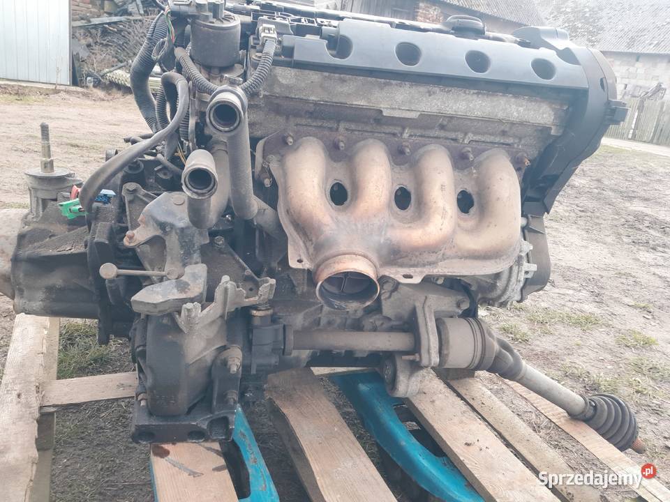 Xsara picasso 18 silnik opolskie Domaszowice