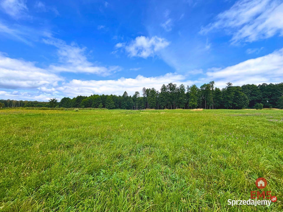 Grunt Węgorzewo 1000m2 sprzedam
