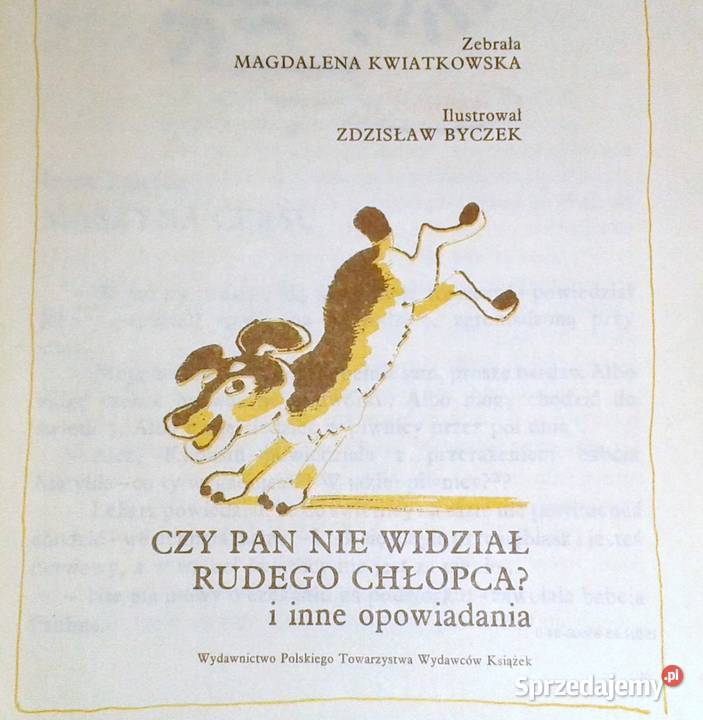 Czy pan nie widział rudego chłopca Magdalena Pozostałe Chełm