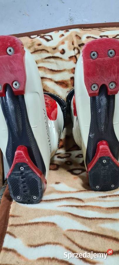 Buty narciarskie Atomic Koło sprzedam