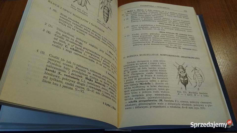 Klucz do oznaczania owadów N Pławilszczikow wyd pomorskie Gdańsk