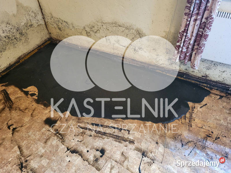 Sprzątanie zalaniach usuwanie szkód Mikołów