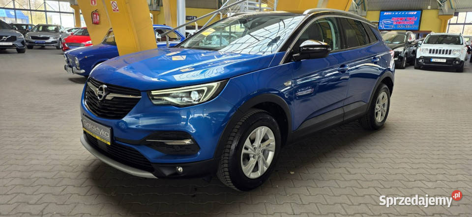 Opel Grandland X OPIS W podanej roczna gwarancja wspomaganie kierownicy śląskie Mysłowice