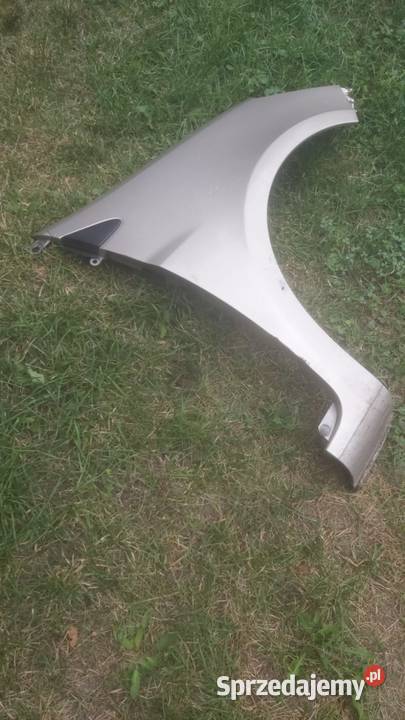 Blotnik przód prawy RENAULT CLIO 3 szary Margonin sprzedam