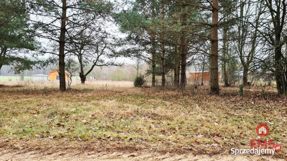 Grunt Pieńki 1743m2 Sprzedaż