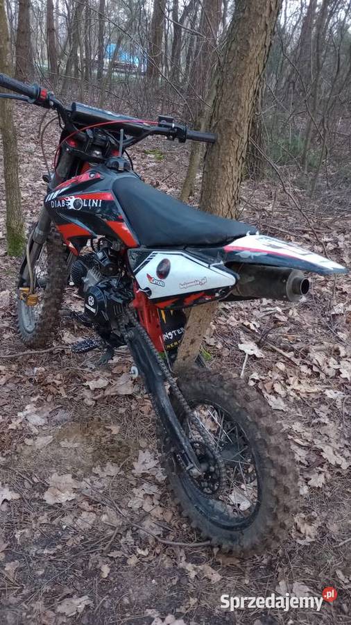 Diabolini 140 Mrfxmotos Diabolini Zdżary