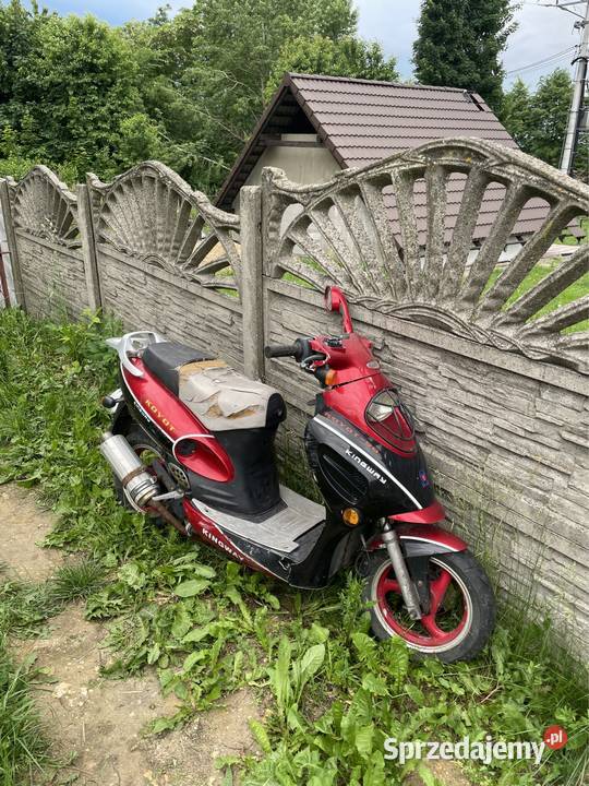 Kingway koyot 50 zarejestrowany Kingway Biskupice