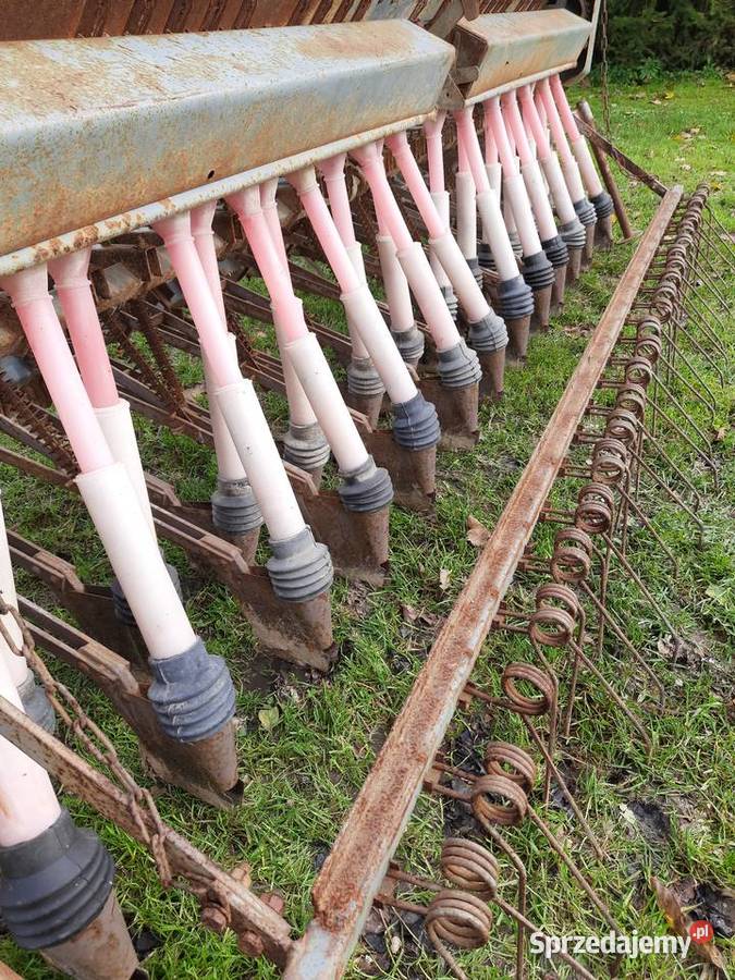 Siewnik Poznaniak Sadzenie/siewniki Sadzenie/siewniki lubelskie Wysokie