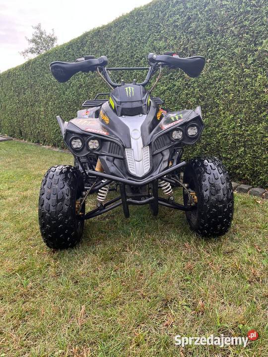 Qład 110 Biadacz sprzedam