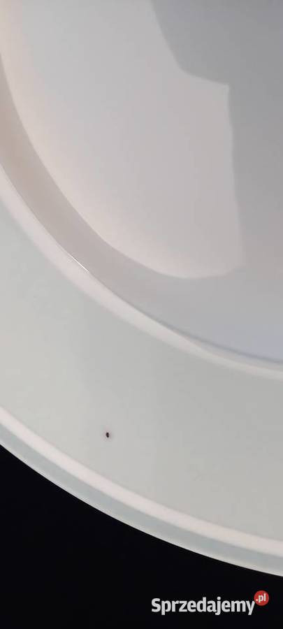 Talerz Villeroyboch Rondo