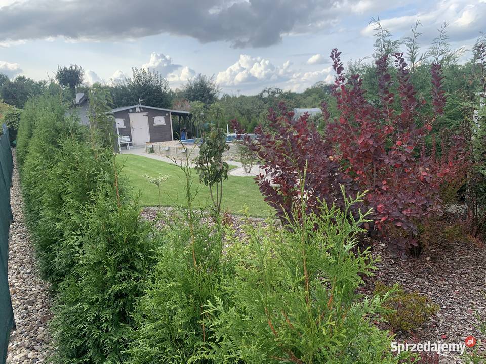 Sprzedam ogródek działkowy Działka rekreacyjna Legnica