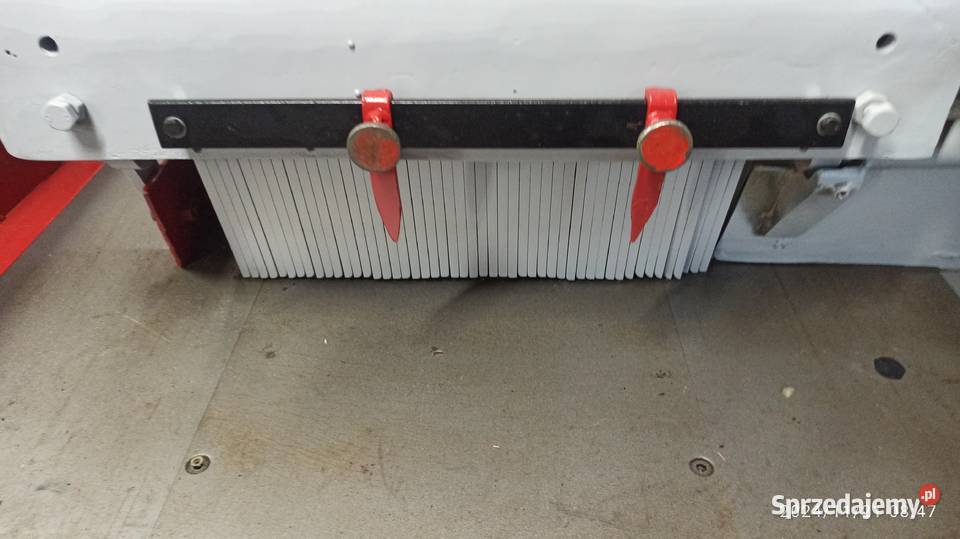 Raimann sprawny technicznie podłączony Lignum Kłodawa