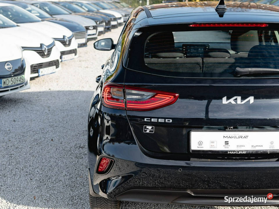 Kia Ceed WND5852C15 TGDI M DCT 2 stref klima Gdańsk