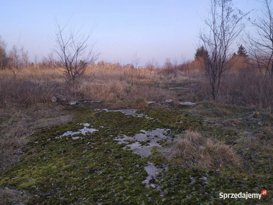 Nieruchomość na sprzedaż Kamiennik sprzedam