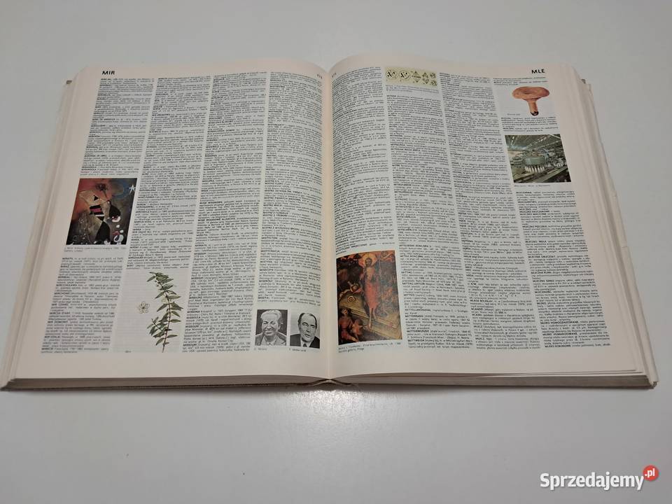 Książka Encyklopedia popularna PWN 1982 r do
