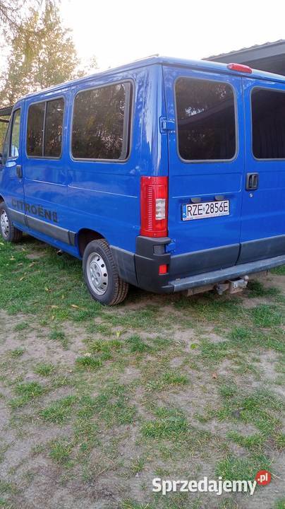 Citroen Jumper z Belgii 8 osób podkarpackie Sokołów Małopolski