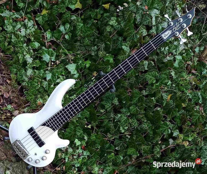 Gitara basowa Cort Curbow 5 Korea Tuszyn