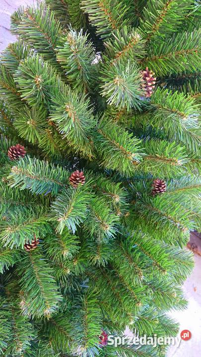Choina sztuczna TUJA wąska 160 inny kolor Gniazdów