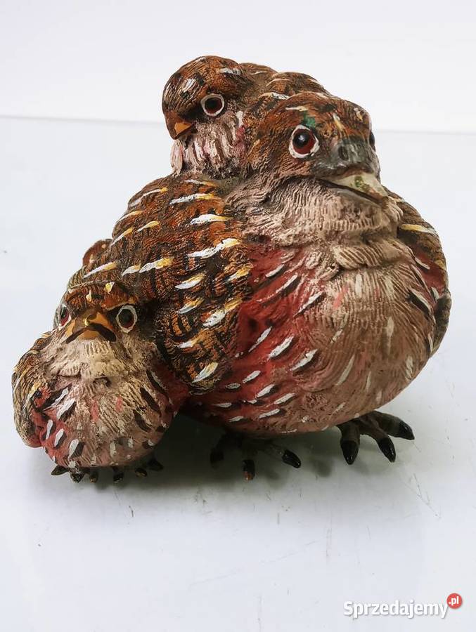Rzeźba Figura Przepiórka z 3 Pisklętami Brąz Nowa Sól sprzedam