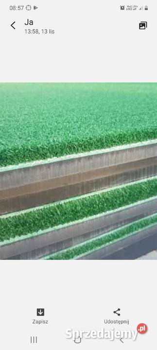 PUTTER Markowy Cougar Nowy męski Wyprzedaż 50 wielkopolskie Kępno