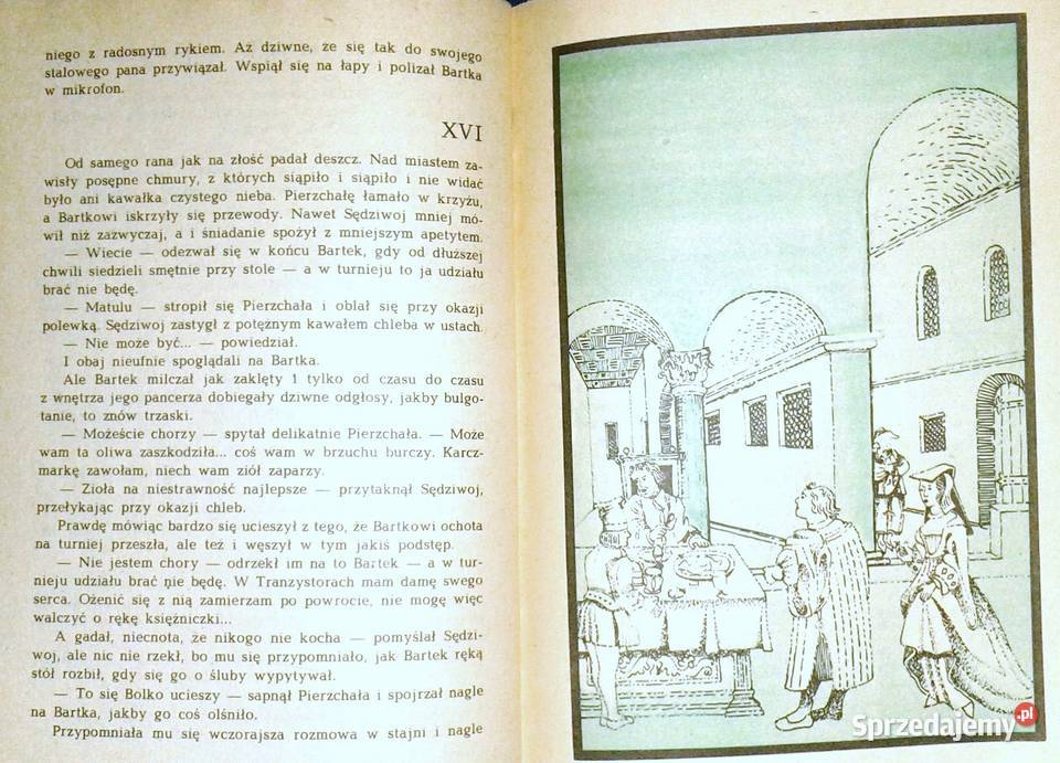 Mechaniczny Rycerz Anna Lewkowska Chełm