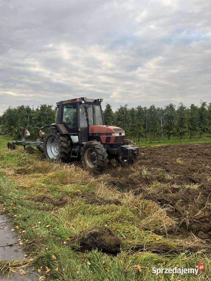 Case IH 4240 XL CASE 95koni Mechaniczny Wilga