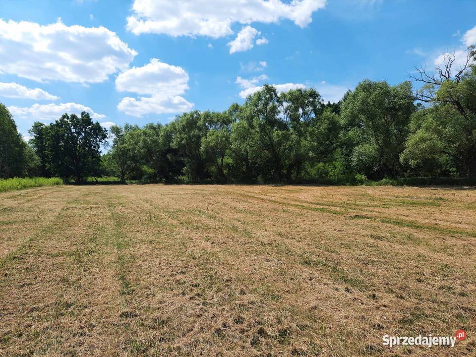 Sprzedam dwie działki Wołomina 34 ha Cięciwa Sprzedaż Grunty i działki sprzedam