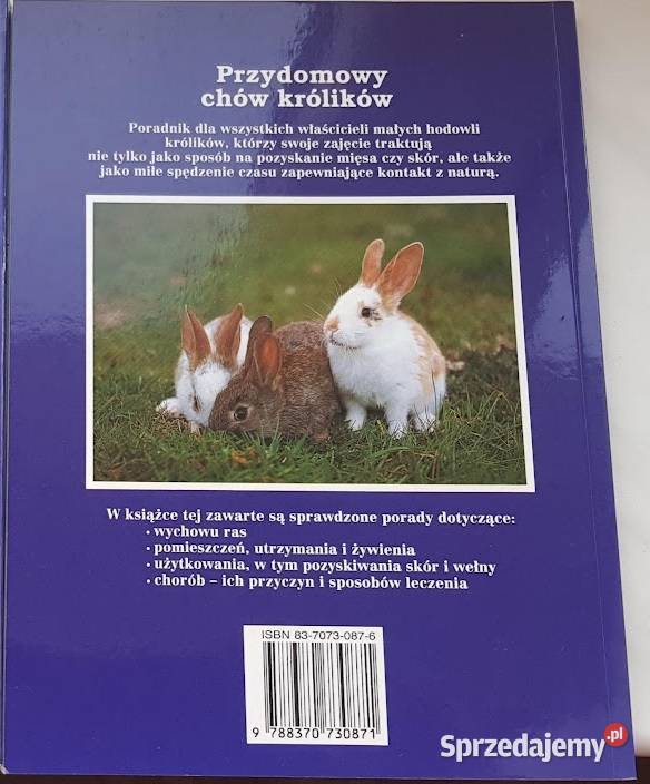 Alice Stern Przydomowy chów królików lubuskie Zielona Góra