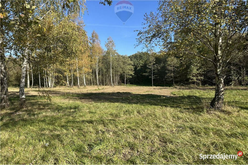 Działka budowlana w Jasienicy świetna Jasienica