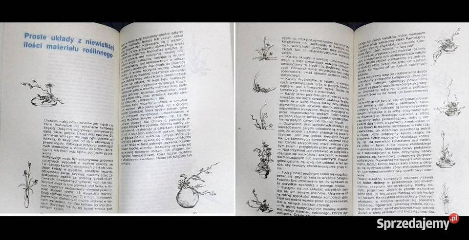 Kompozycje roślinne Agnieszka Sokołowska Chełm